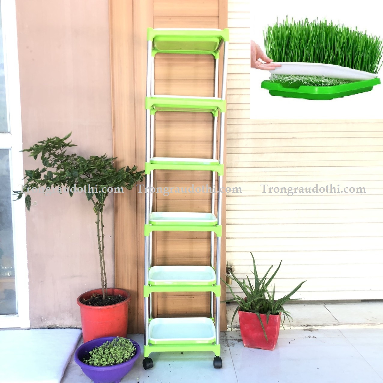 Kệ trồng rau mầm lắp ghép 6 tầng 6 chậu - Ảnh 1